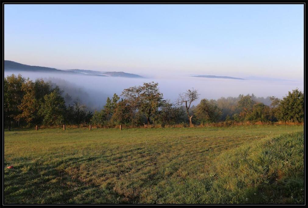 Swiety Spokoj Palesnica エクステリア 写真