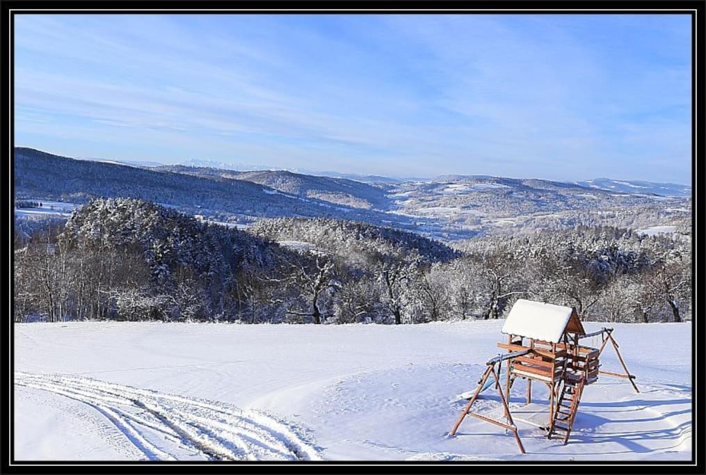 Swiety Spokoj Palesnica エクステリア 写真